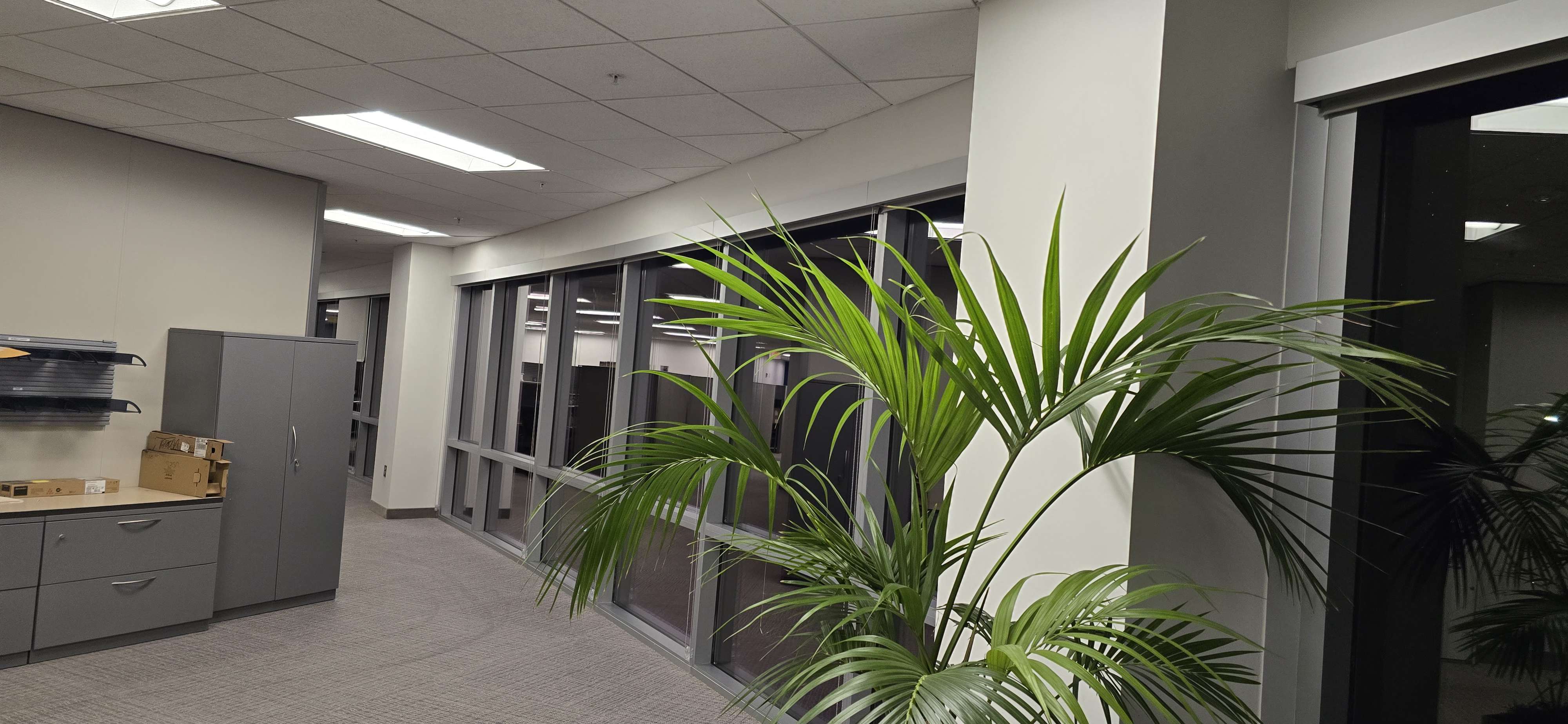 Glass-partitioned office fit-out with roller shades (placeholder)